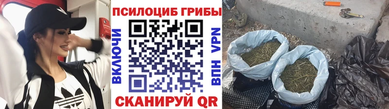 Псилоцибиновые грибы мицелий  цены   Кукмор 